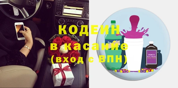 крисы Абаза
