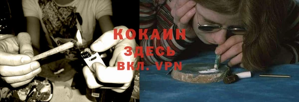 крисы Абаза
