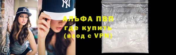 стаф Абинск