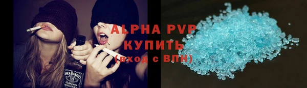 крисы Абаза
