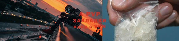 крисы Абаза