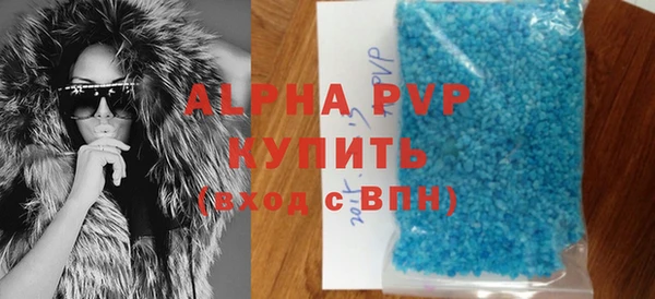 стаф Абинск