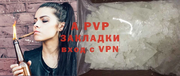 крисы Абаза