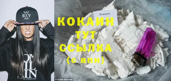крисы Абаза